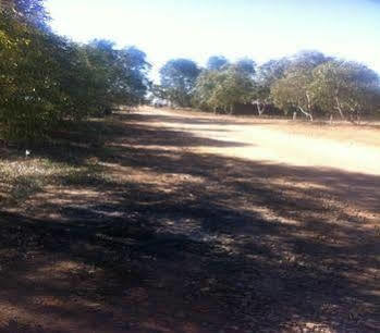 William Creek Hotel Esterno foto